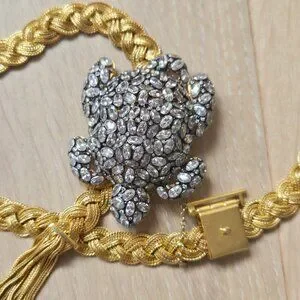 Begum Khan | Accessories | Begum Khan Tartaruga Belt | Poshmark display picture 1